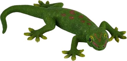      - Mojo -   Wildlife - 