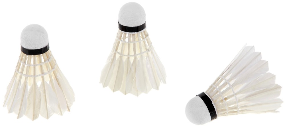 ����� �� ��������� - �������� �� 3 ���� - �������