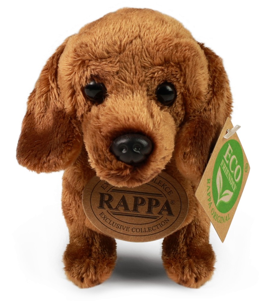    - Rappa -   20 cm - 