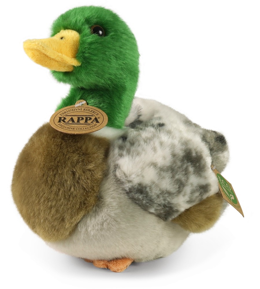     - Rappa -   20 cm - 