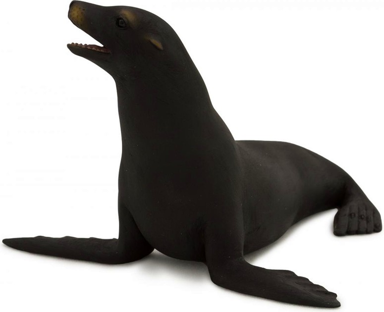      - Mojo -   Sealife - 