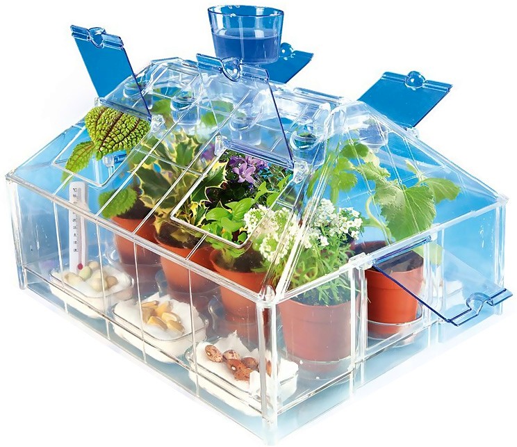 ������ ������ - �������� �� ���������� �� �������� - �������