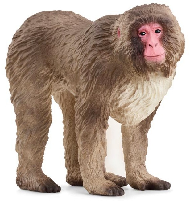    Schleich -   Wild Life - 