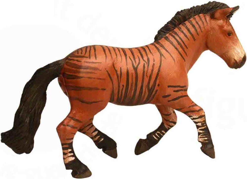 ��� - ����� - ������ �� ������� "���� �������" - ������