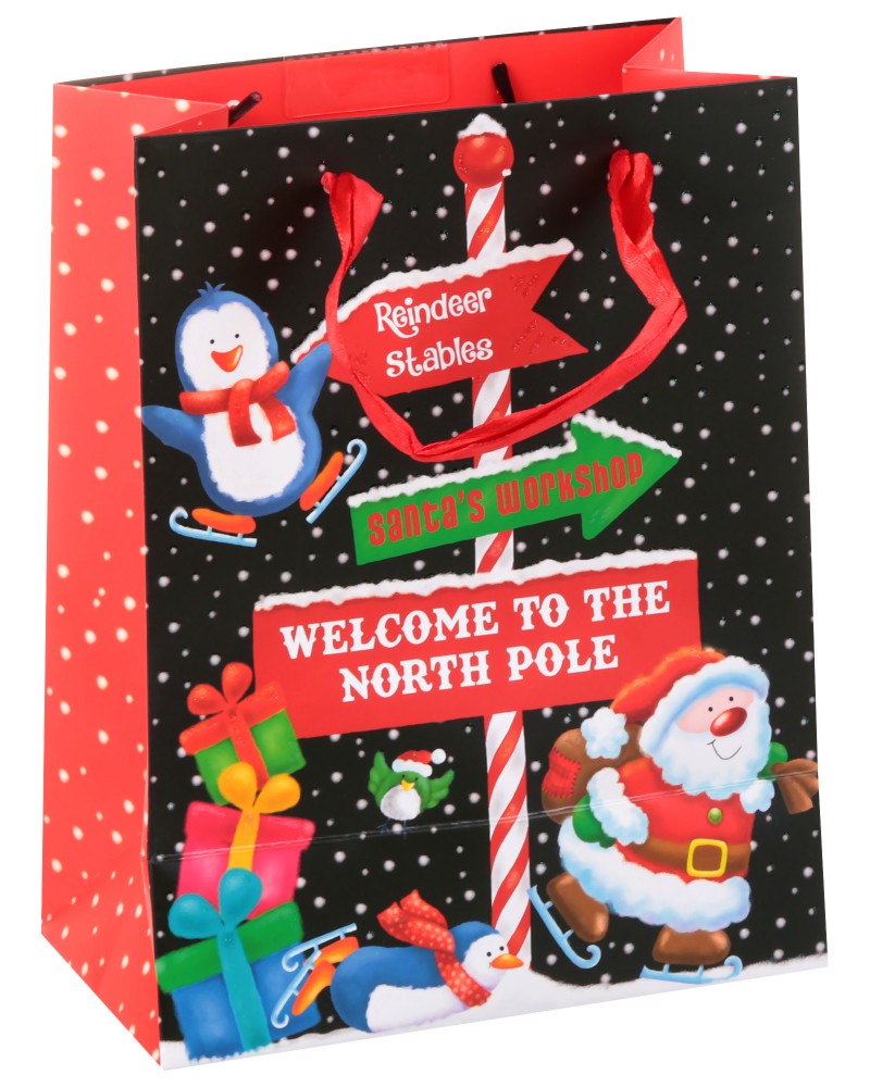   North Pole - Unic Art -    18 / 23 / 10 cm - 