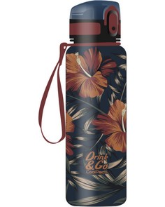   Brisk - Cool Pack -   600 ml   Rio -  