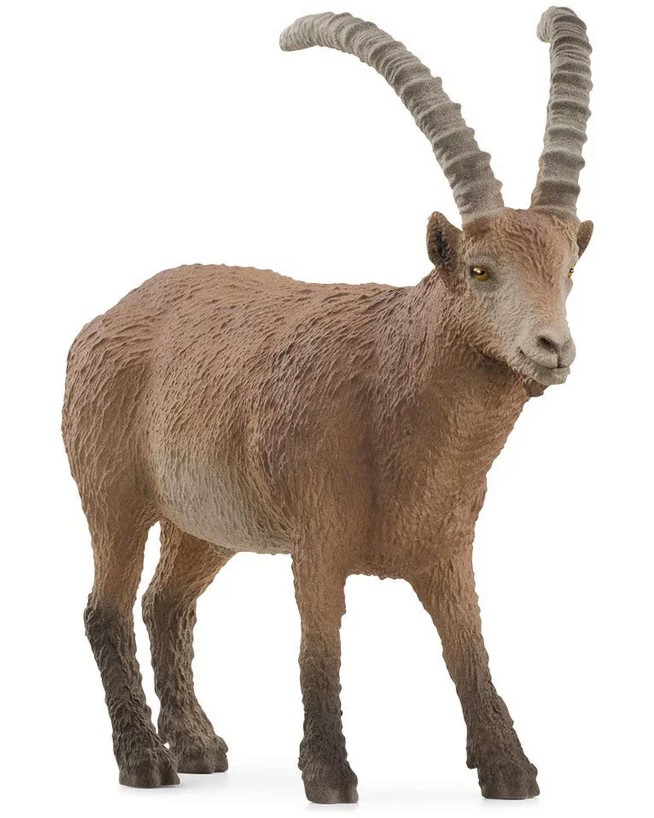     Schleich -   Wild Life - 