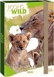 ����� � ������ Ars Una Icons of the Wild Lions