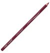 Wet'n'Wild Color Icon Lipliner - 