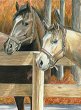    Royal & Langnickel - 