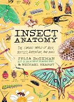 Insect Anatomy - 
