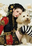 �������� � ������ ������ - 