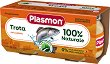 ���� �� �������� � ������� Plasmon - 