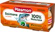���� �� ������ � ������� Plasmon - 