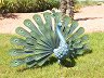   Nortene - 