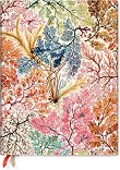 ������-������ Paperblanks Anemone 2026 - 