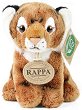    - Rappa - 