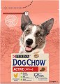 ���� ����� �� ������� ������ Dog Chow Active Adult - 