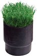    Rain Bird Sod Cup