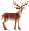    -    Wild Life - 