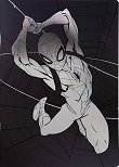 �������� � ������ ������ Spider-man - ��������� ��������