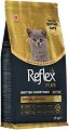 ������������� ���� ����� �� ��������� ������������ ����� Reflex Plus British Shorthair Kitten - 