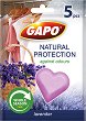 �������� ������ ����� Gapo