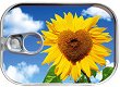 ��������-�������� - Sunflower - 