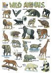 ������ ������ ����� �� ��������� ����: Wild Animals - 