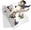  HoloToyz Pet Party