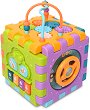   Lorelli 6 Face - 