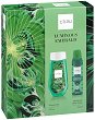   C-Thru Luminous Emerald - 