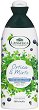 L�Angelica Officinalis Sebum-regulating Shampoo - 