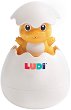    LUDI -   - 