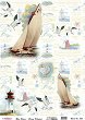   CADENCE - 