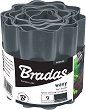 ������������� ����� Bradas