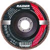������� ���� Raider