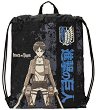   Attack on Titan - 