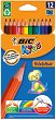   BIC Evolution