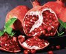 �������� �� ������ NEWART - ���