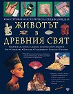 ������� � ������� ���� - 