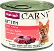 �������� �� ����� Carny Kitten - 