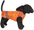����� �� ������ HAPPY PUPPY - 