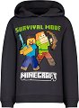 ������ �������� Survival Mode - 100% �����, �� ���� Minecraft - �������