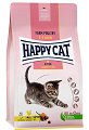 ���� ����� �� ����� Happy Cat Kitten - 