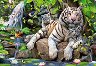 ��������� ����� - 