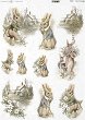   ITD Collection -  
