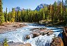 ���� ��������, ���������� ���� �������, ������ - 