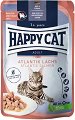 ���� �� ���������� ����� Happy Cat - 