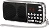 ���������� FM ����� � MP3 ����� Diva L-088